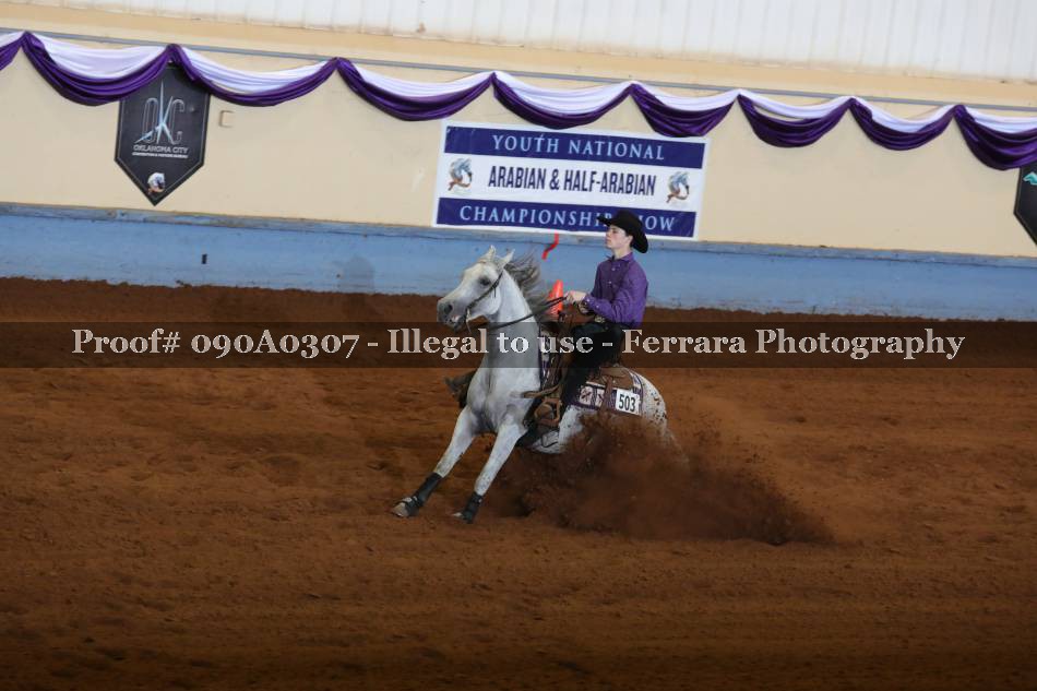 Proof 090A0307