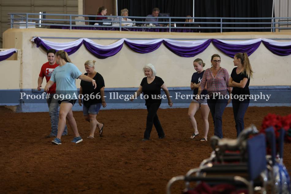 Proof 090A0366