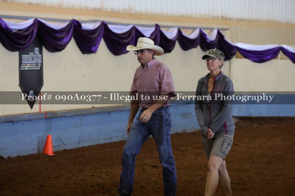Proof 090A0377