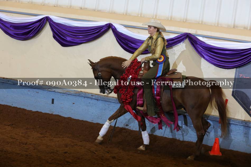 Proof 090A0384
