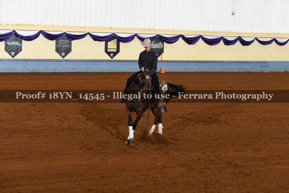 Proof 18YN_14545