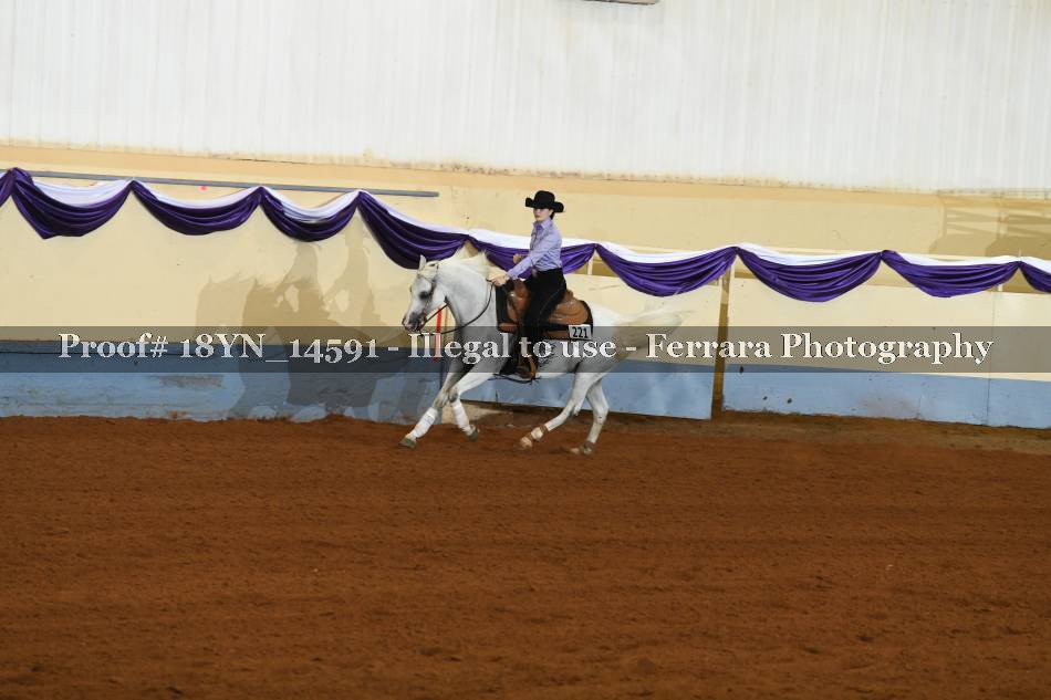 Proof 18YN_14591
