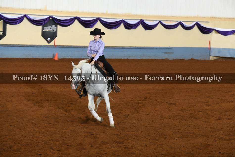 Proof 18YN_14595