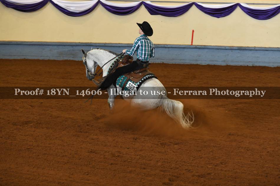 Proof 18YN_14606