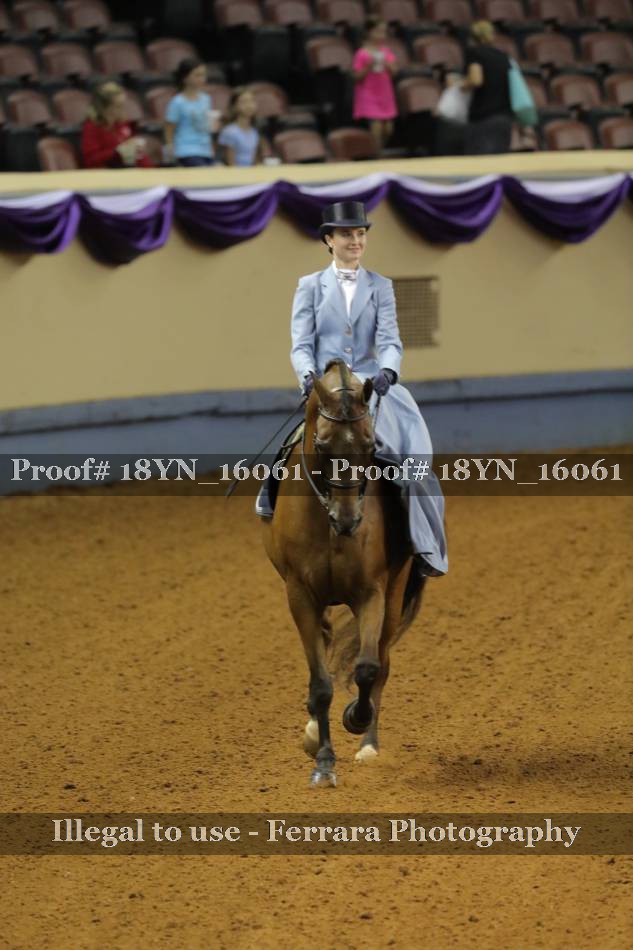 Proof 18YN_16061