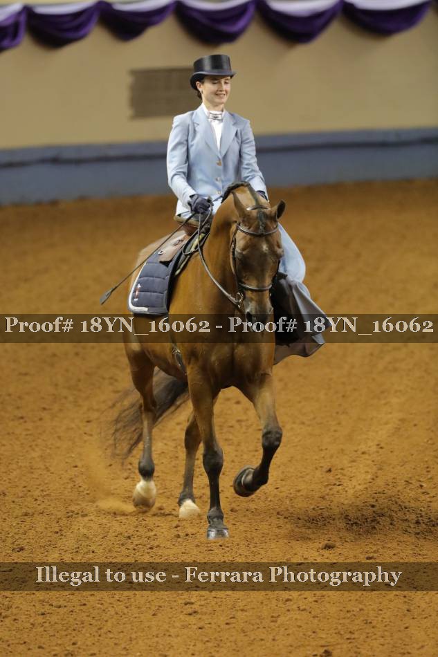 Proof 18YN_16062