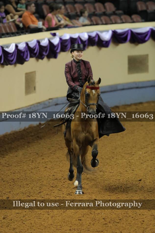 Proof 18YN_16063