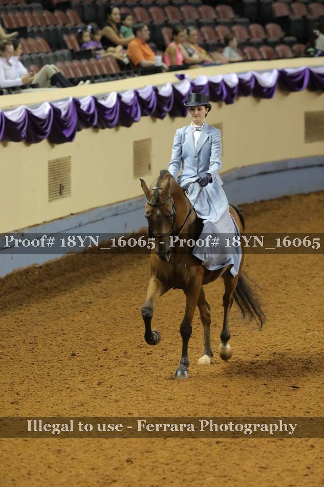 Proof 18YN_16065