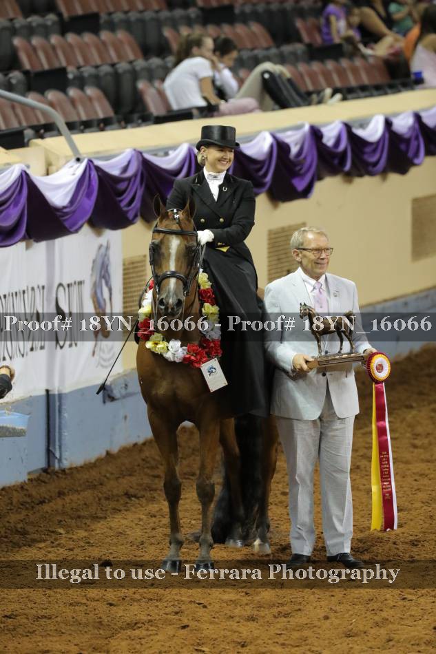 Proof 18YN_16066