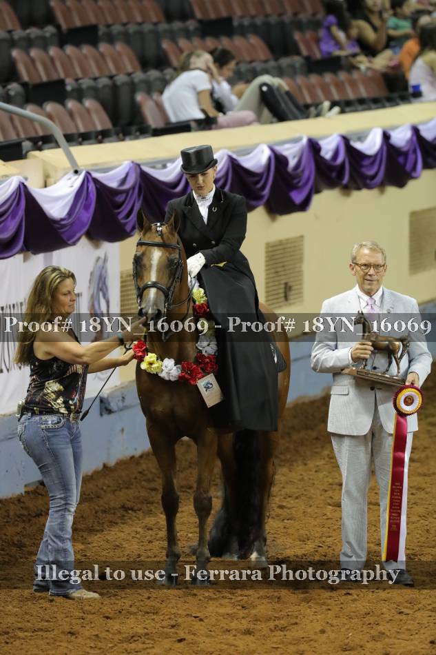 Proof 18YN_16069