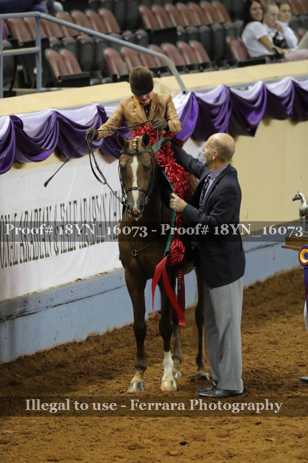 Proof 18YN_16073