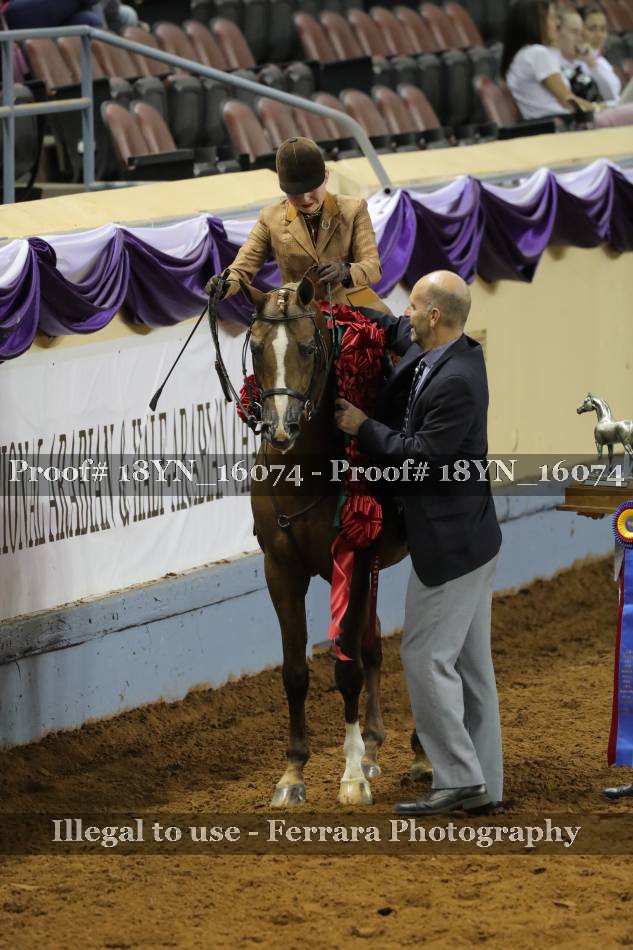 Proof 18YN_16074