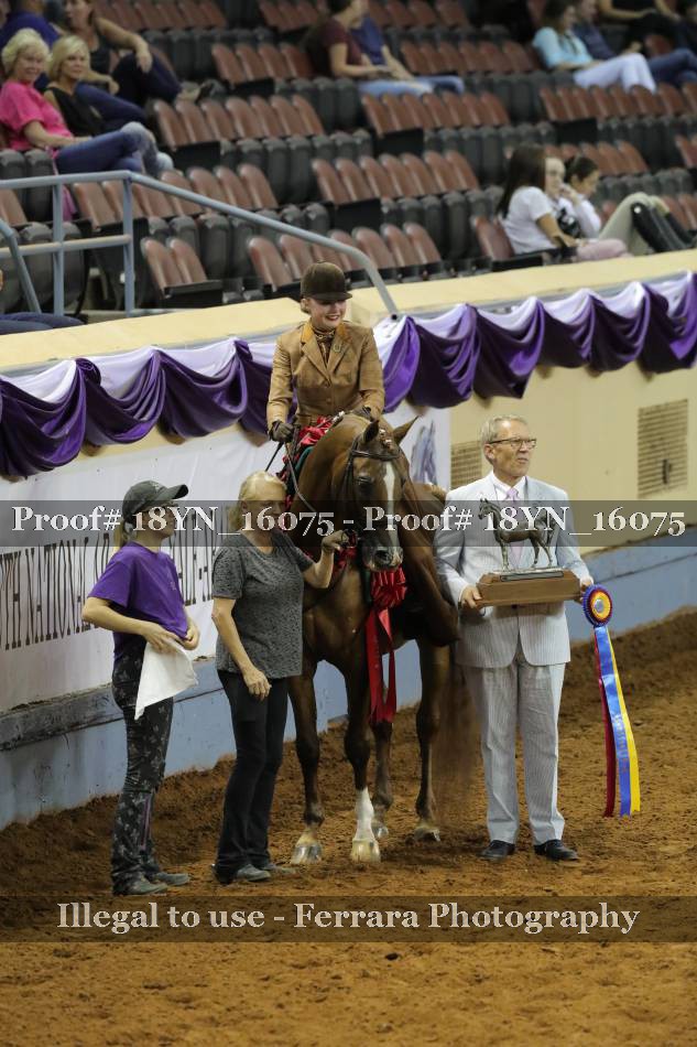 Proof 18YN_16075