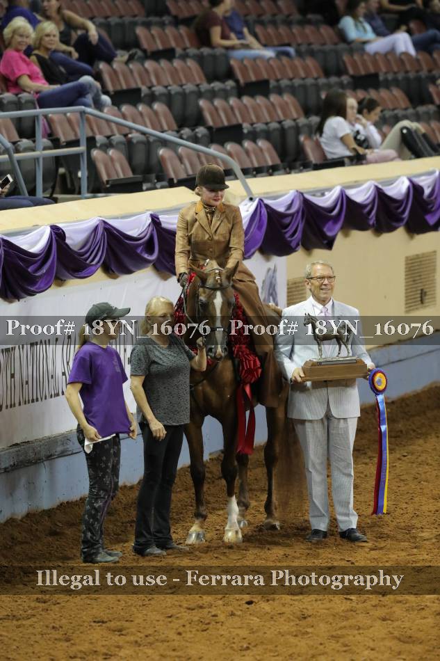Proof 18YN_16076