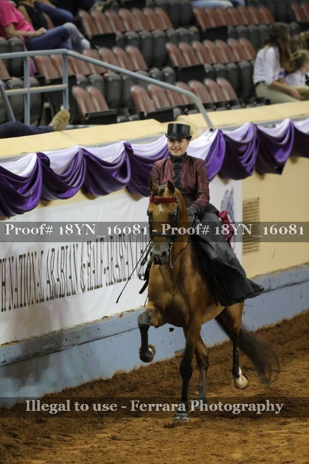 Proof 18YN_16081