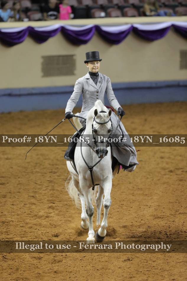 Proof 18YN_16085