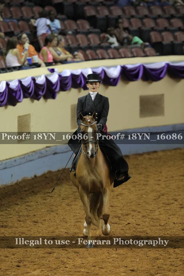 Proof 18YN_16086