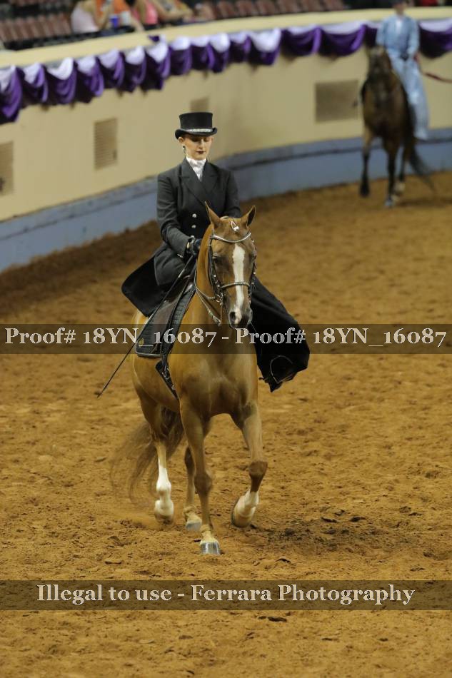 Proof 18YN_16087