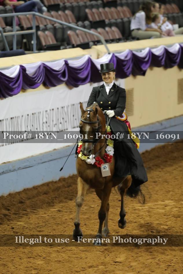 Proof 18YN_16091
