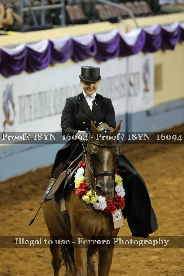 Proof 18YN_16094
