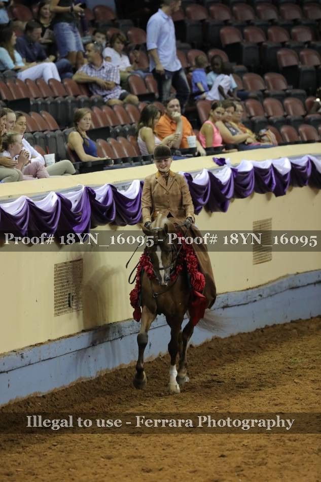 Proof 18YN_16095