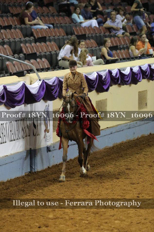 Proof 18YN_16096