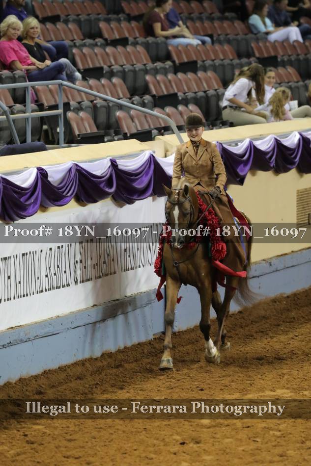 Proof 18YN_16097