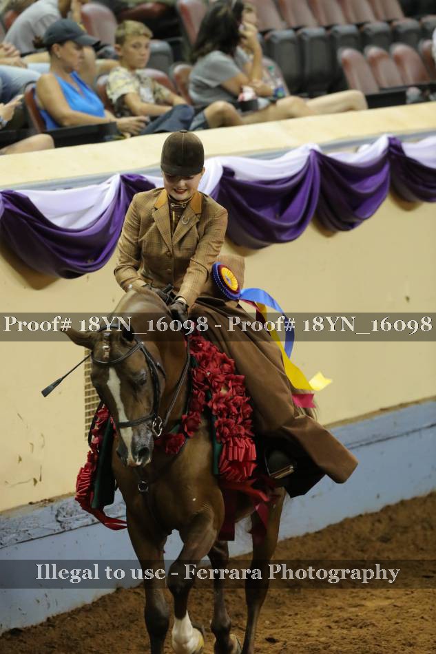 Proof 18YN_16098
