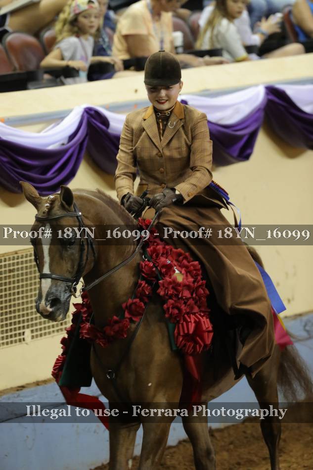 Proof 18YN_16099