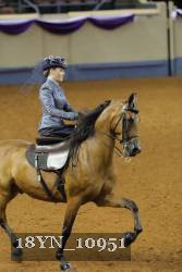 18YN_10951 proof