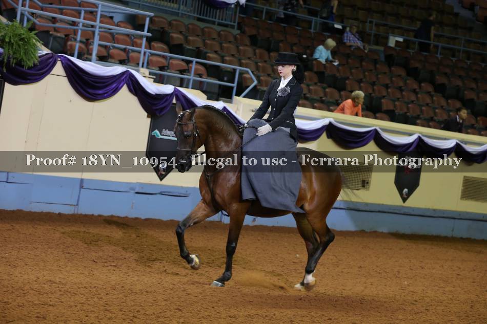 Proof 18YN_10954