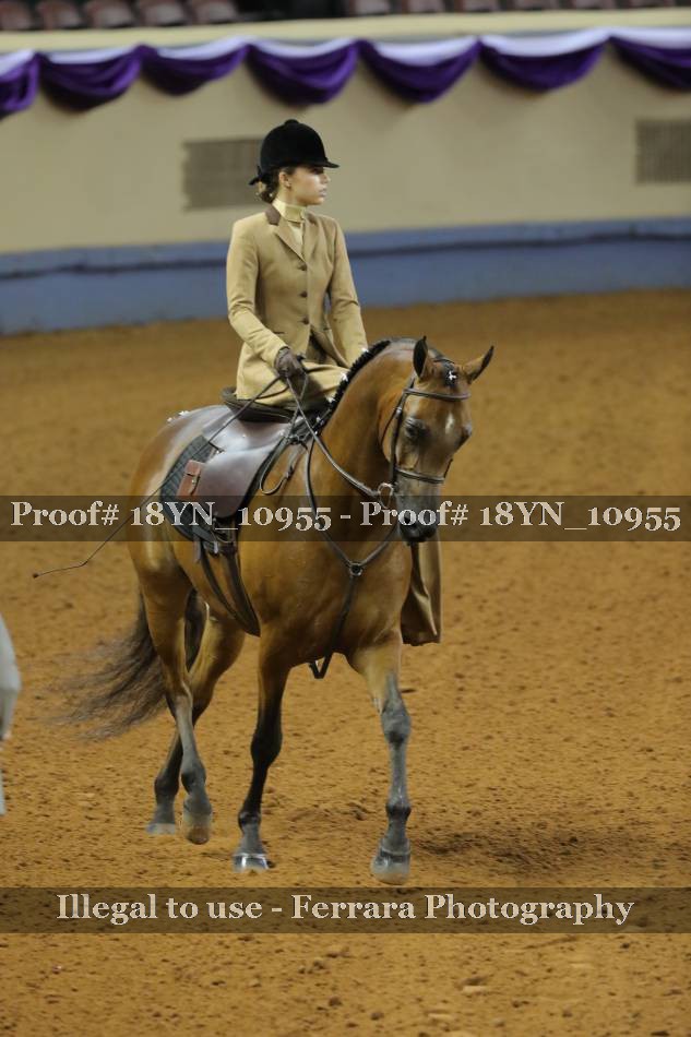 Proof 18YN_10955
