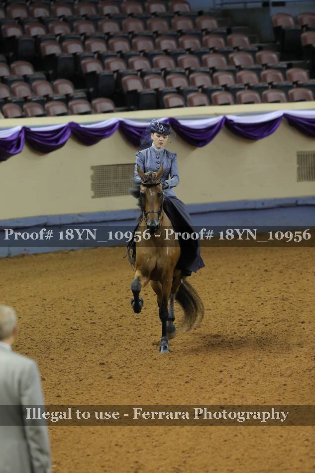 Proof 18YN_10956