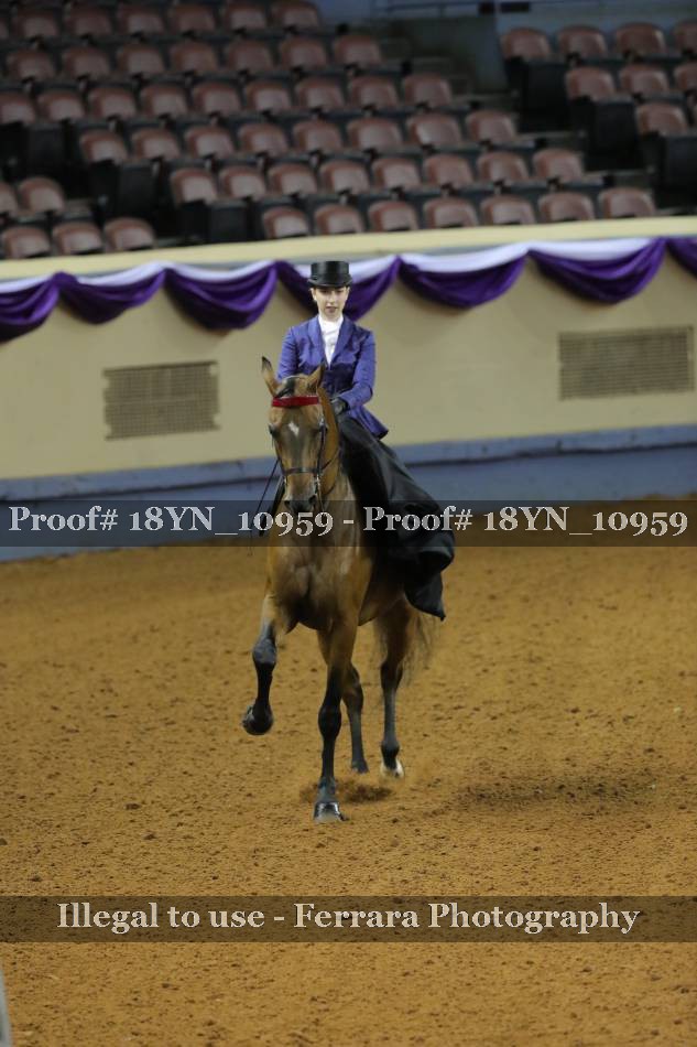 Proof 18YN_10959