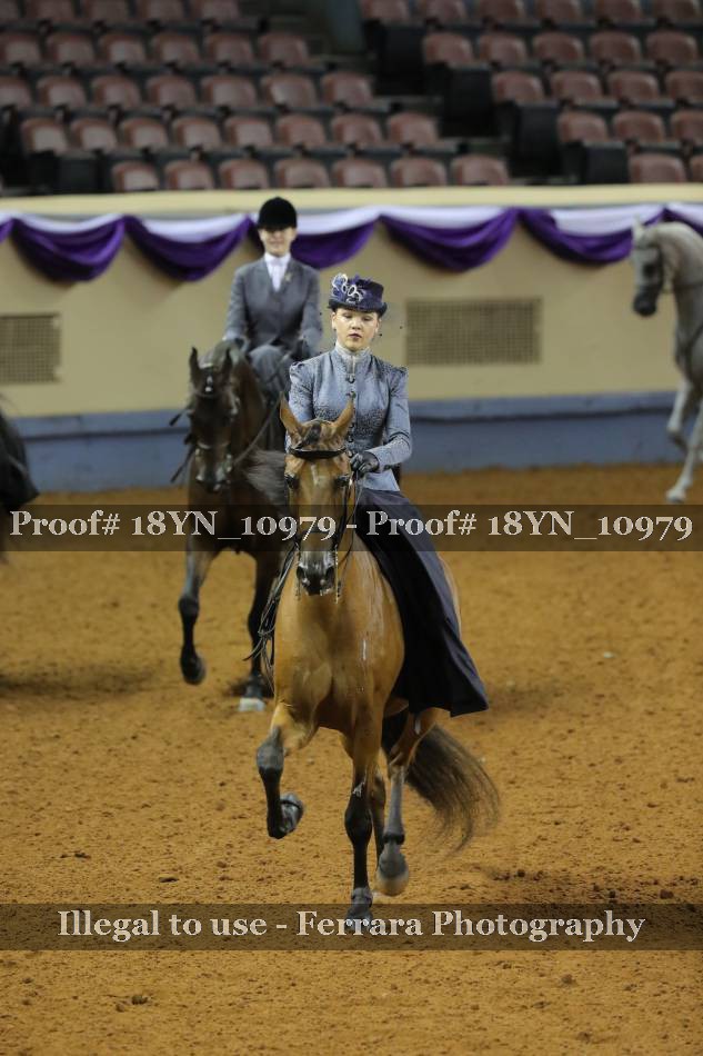 Proof 18YN_10979