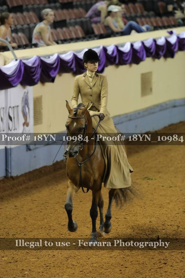 Proof 18YN_10984