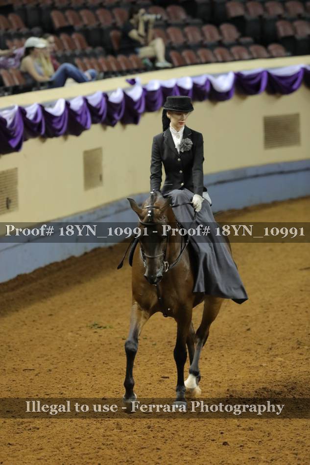 Proof 18YN_10991