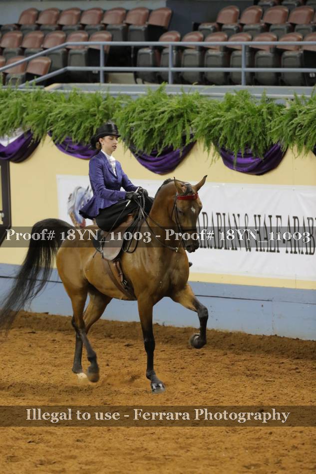 Proof 18YN_11003