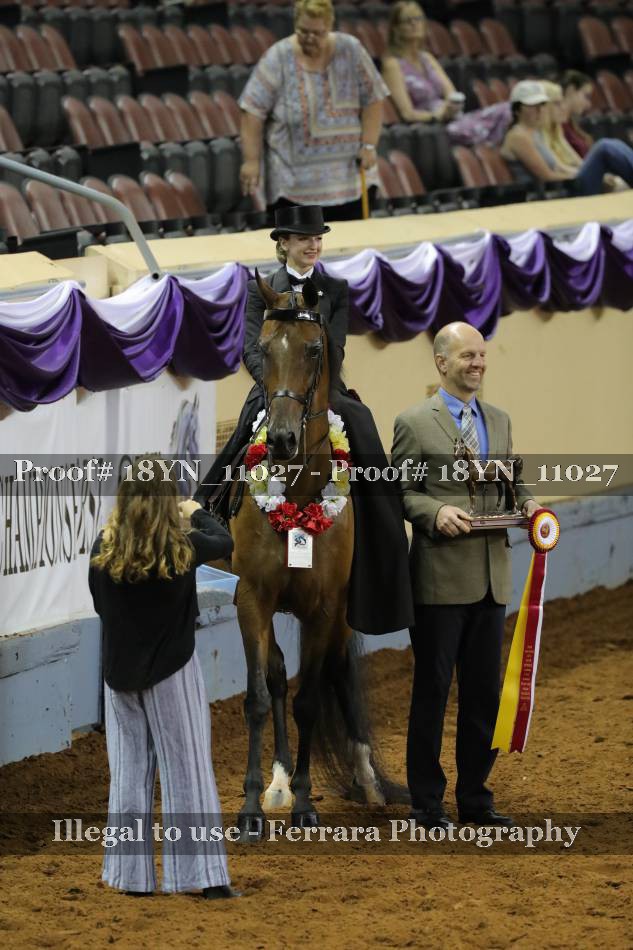 Proof 18YN_11027