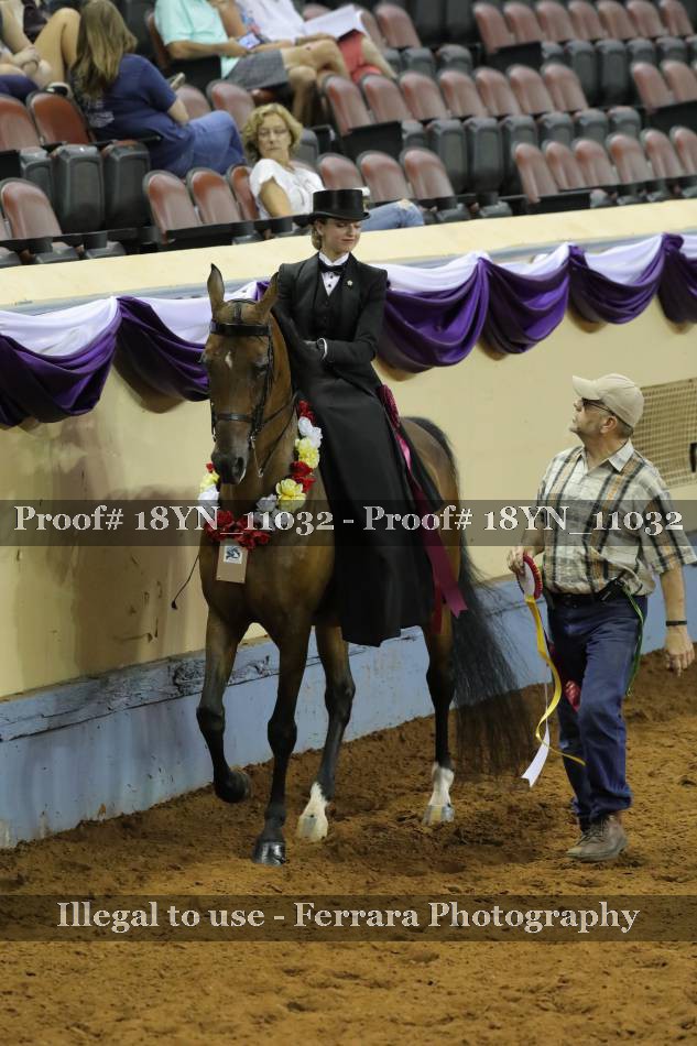 Proof 18YN_11032