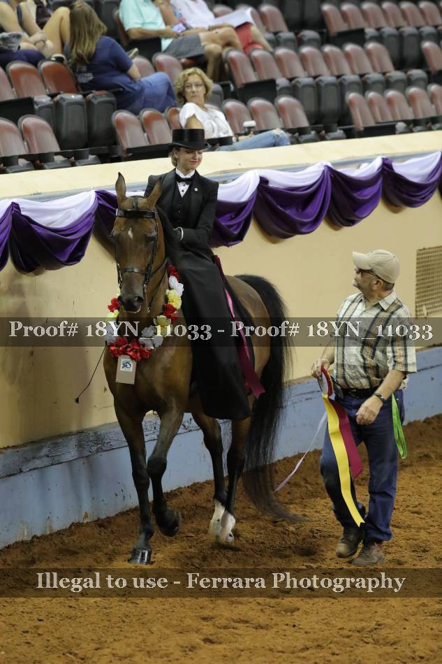 Proof 18YN_11033