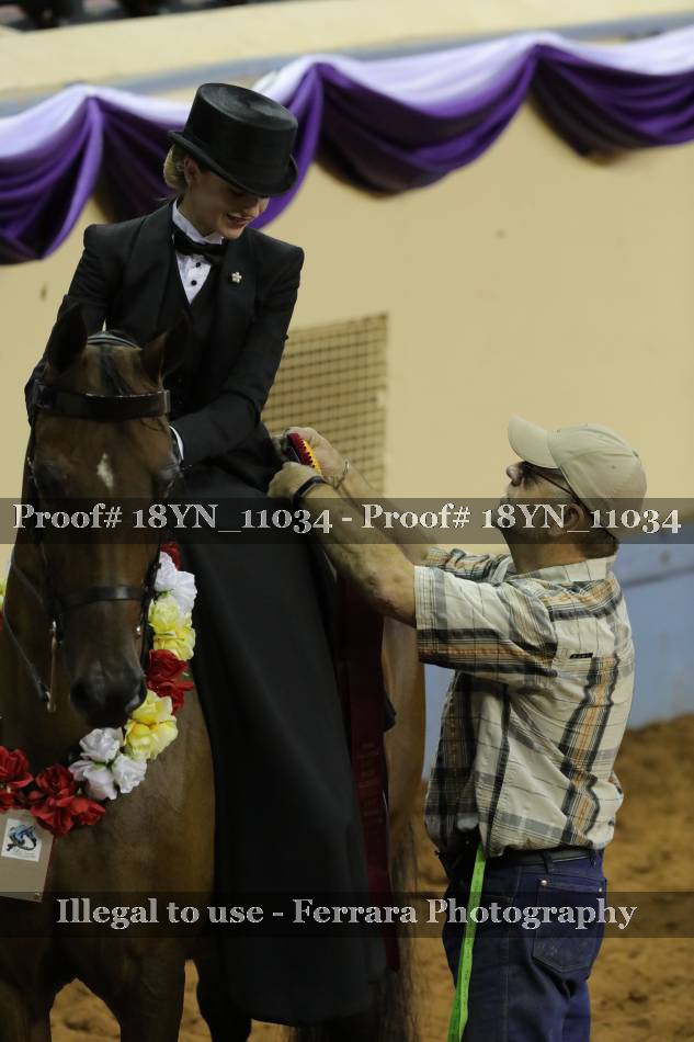 Proof 18YN_11034