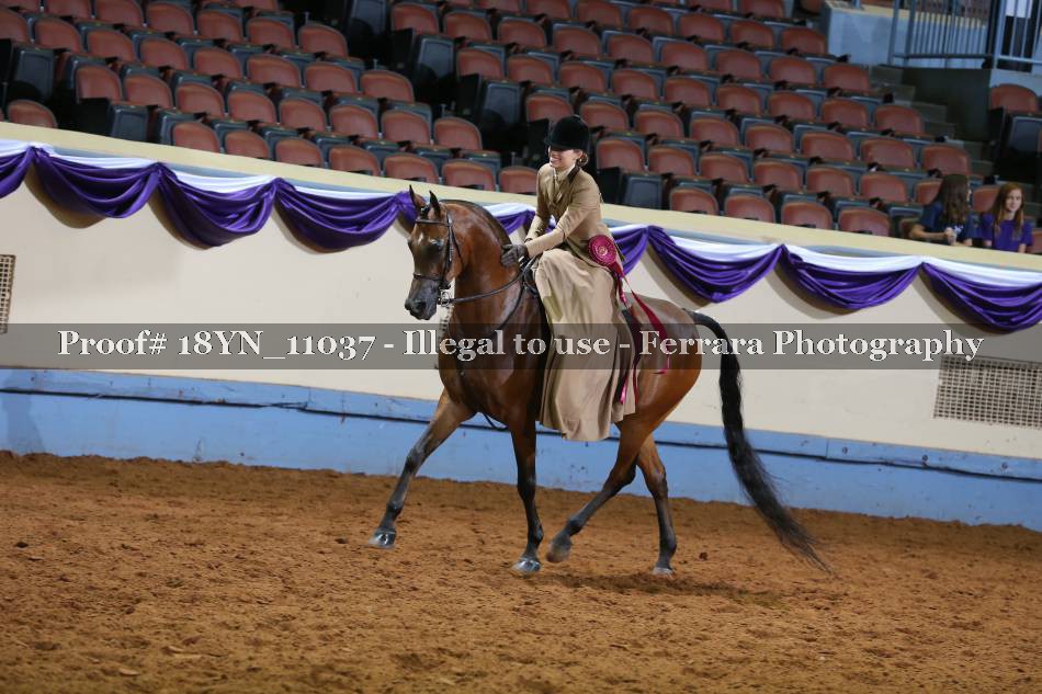 Proof 18YN_11037