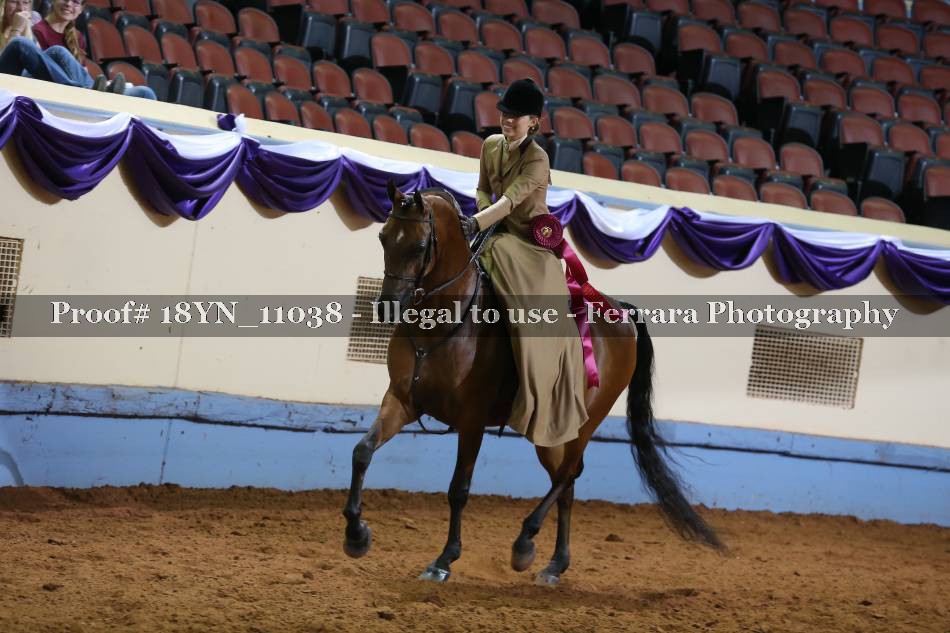 Proof 18YN_11038
