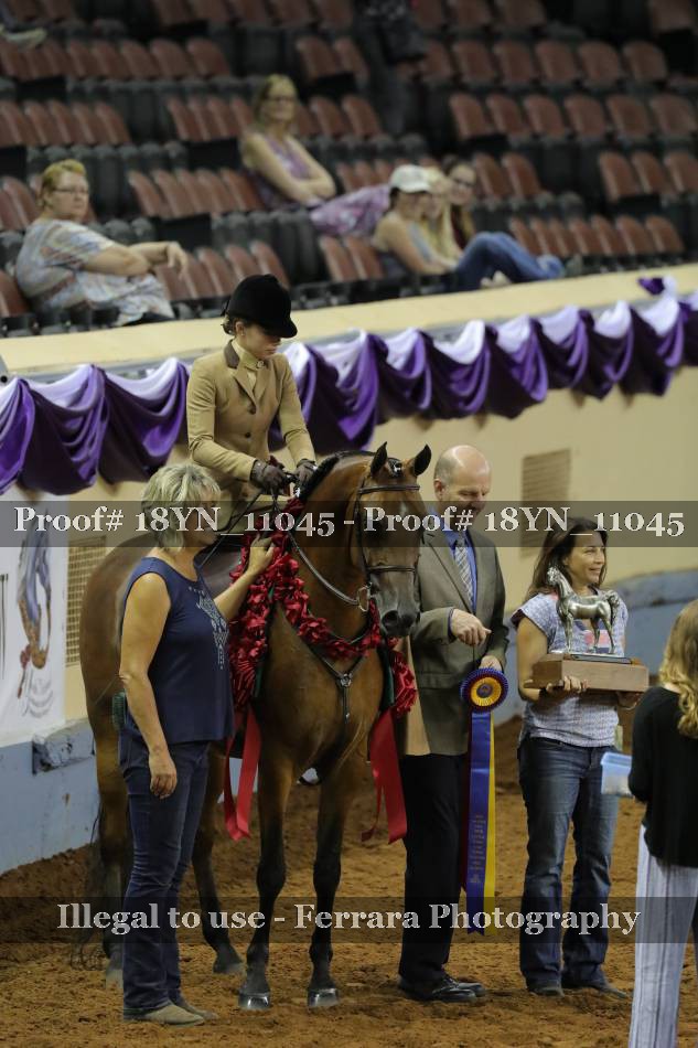 Proof 18YN_11045