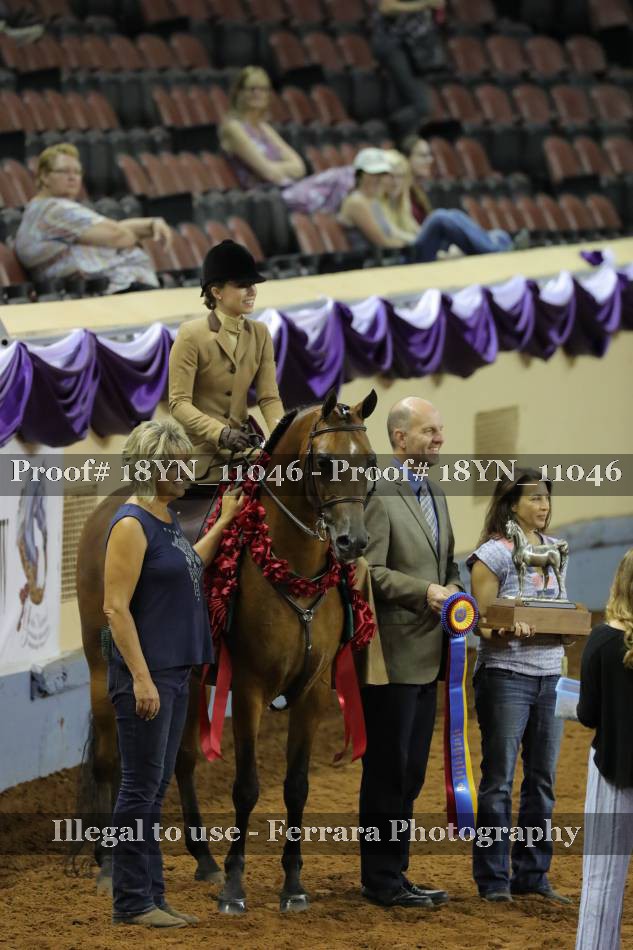 Proof 18YN_11046