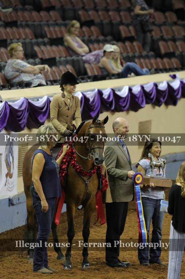 Proof 18YN_11047