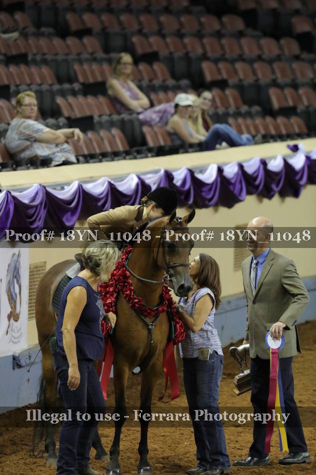 Proof 18YN_11048