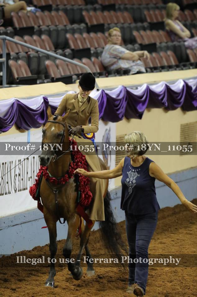 Proof 18YN_11055