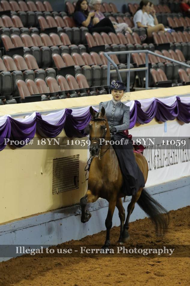 Proof 18YN_11059